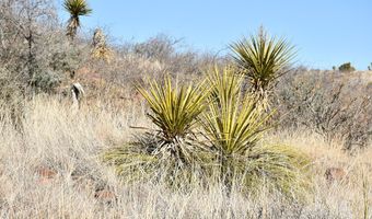 100 High Lonesome, Alpine, TX 79830