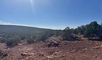 36 County Road N8487, Concho, AZ 85924