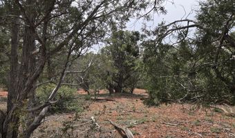 61 Raney Rd, Ash Fork, AZ 86320
