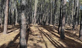 Alamosa Terrace lot 929, Angel Fire, NM 87710