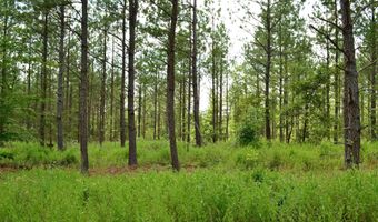 Lot 3 TBA MELITA RD 3, Arvonia, VA 23004