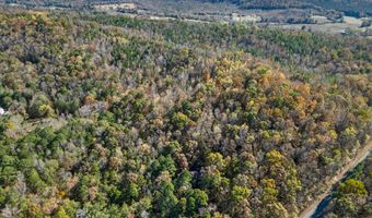 995 BEAVER RIDGE Dr, Ashville, AL 35953