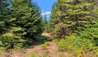 L13B1 Leonard Loop, Athol, ID 83801