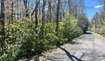 C475 Treetop Lane, Albrightsville, PA 18210