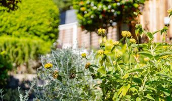 233 Wixon Ave, Aptos, CA 95003