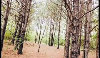 BRUSHY Ln, Arley, AL 35541