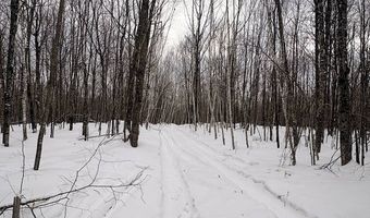 606 Log Lodge Rd, Winter, WI 54896