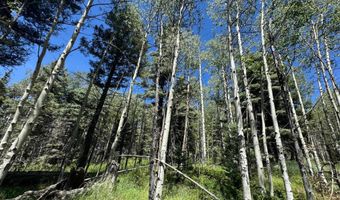 Lot 1012 El Camino Real, Angel Fire, NM 87710