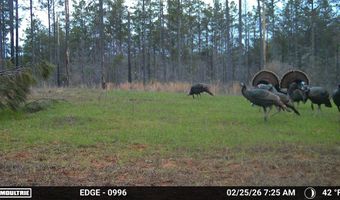 Hwy 9, Bruce, MS 38915