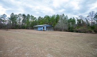 963 Springhill Church Rd, Alamo, GA 30411