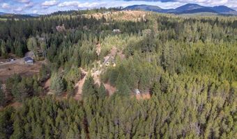 Nka Grand Fir, Athol, ID 83801