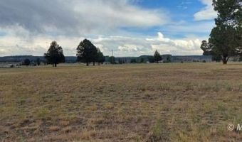 Lot 47 Blk 14 LU1B Honey View Drive, Alturas, CA 96101