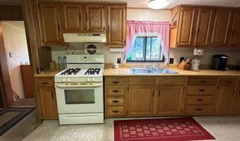 425 River Dr, Challis, ID 83226