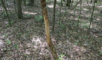 Ruffner Road 00, Barnesville, GA 30204