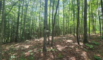 20 Bluff View Loop, Allardt, TN 38504
