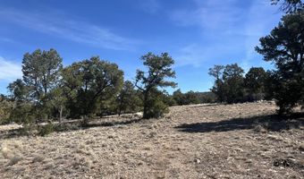 362 Big View Trl, Ash Fork, AZ 86320