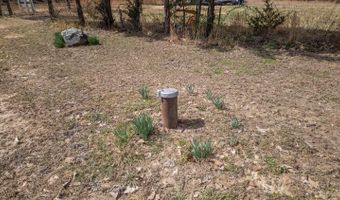 838 Indian Trl, Ash Flat, AR 72513