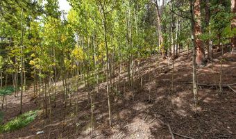 452 QUARTZVILLE Rd, Alma, CO 80420