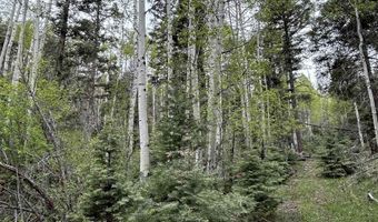 Lot 1419 Sacramento, Angel Fire, NM 87710