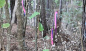 NE Hopewell Road, Brookhaven, MS 39601