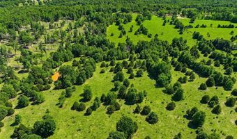 210 County Road 320, Alton, MO 65606
