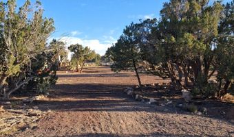 690 Stanford Dr, Concho, AZ 85924