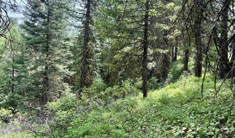 53 Landale Ln 37, Cascade, ID 83611