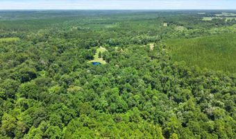 3470 Bell Fork Rd, Atmore, AL 36502