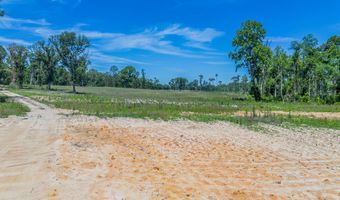 Chad Lake Rd, Alma, GA 31510
