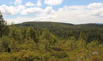 Tower Springs, Bly, OR 97622