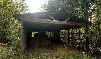 137 Shorter Rd, Braxton, MS 39044