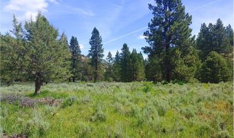 12142 Burns-Izee Rd, Seneca, OR 97873