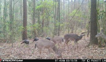 235 Woodrow Martin Rd, Brandon, MS 39042