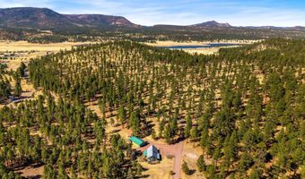 17 County Road 2114, Alpine, AZ 85920