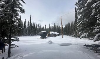 nhn WILLOW Lot 8, FROSTWOODS SUBDIVISION, Plat No. 85-63, Tok, AK 99780