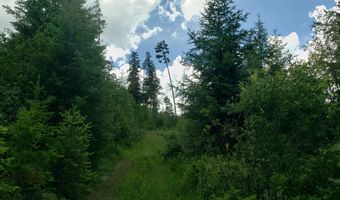 Arlee Pines lot 21, Arlee, MT 59821