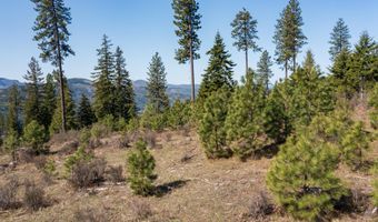 NKA 262 Ac N Side Rd, Calder, ID 83808