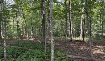 WEAVER ROAD, Amissville, VA 20106