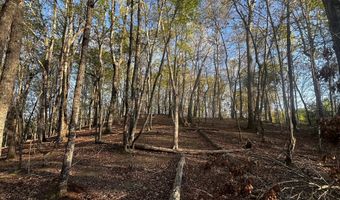 130 Lakeview Walk, Baldwin, GA 30511