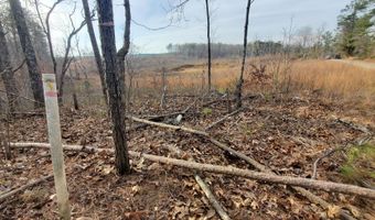 85 6+/- Acres County Road 2291, Booneville, MS 38829