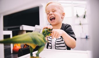 3701 Heritage Farm Ln Plan: Fairfax, Amelia, OH 45102