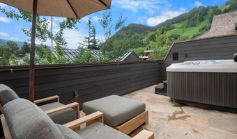 304 S GARMISCH St, Aspen, CO 81611