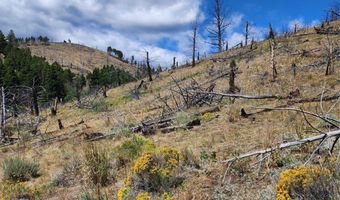 Nhn Plaindealer Lode Depot Hill Road, Boulder, MT 59632