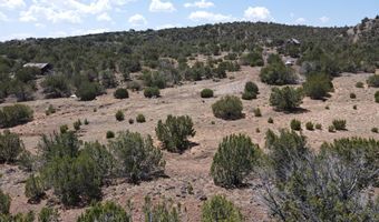 5 County Rd # 8095, Concho, AZ 85924
