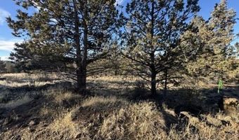 Canvasback Drive, Bonanza, OR 97623
