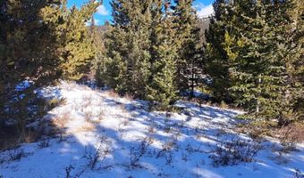 3553 RIVER Dr, Alma, CO 80420