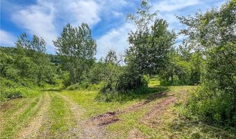 0 Woodland Hills Rd, Andes, NY 13731
