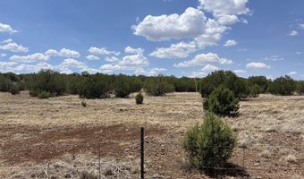 11 Cxx W Old Rte 66, Ash Fork, AZ 86320