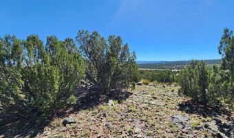 85 N 8522, Concho, AZ 85924