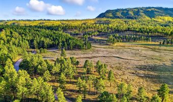1 A FOREST ROAD 26, Alpine, AZ 85920
